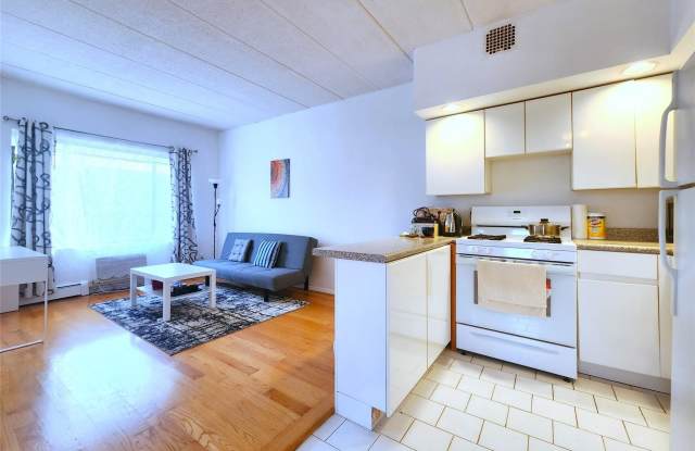 149-15 Barclay Avenue unit: 3A