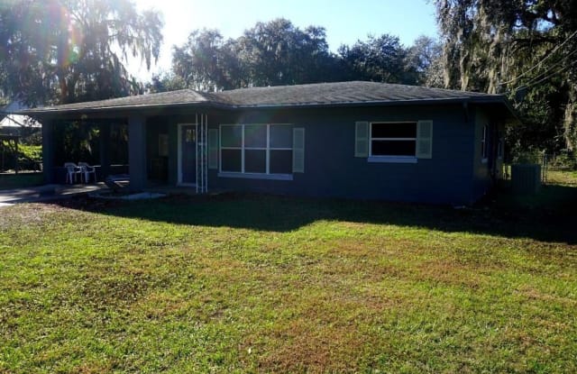 32007 Bluegill Drive - 32007 Bluegill Avenue, Lake County, FL 32778