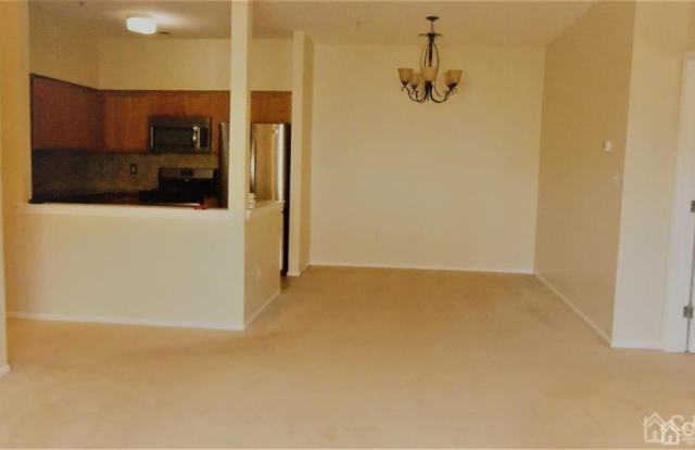 927 Del Negro Court