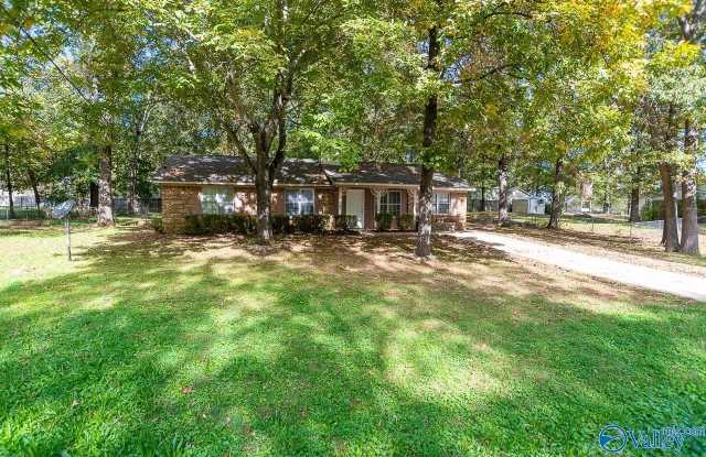 209 Oconee Drive - 209 Oconee Drive, Madison County, AL 35811