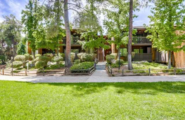 Great Alpine Rental