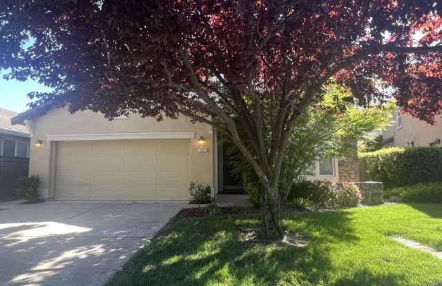 515 Borders Court