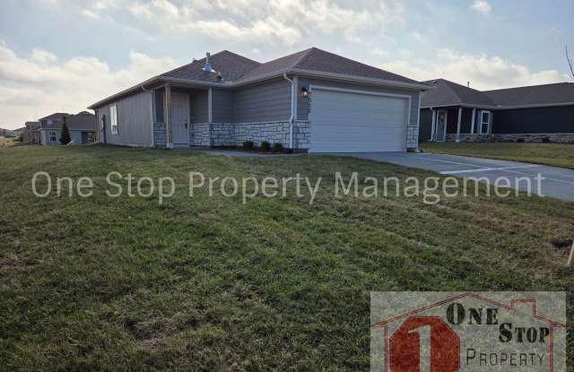 Beautiful 3 Bedroom 2 Bathroom in Blue Springs!