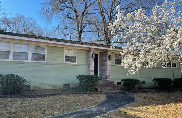 1423 Duke Street - 1423 Duke Street, West Columbia, SC 29169