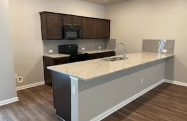 1124 Trellis Pass - 1