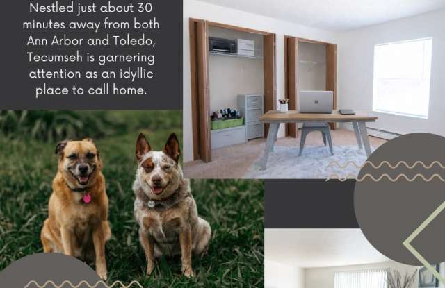 Photo of 1074 E Chicago Blvd