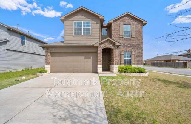 191 Cherry Blossom Dr - 191 Cherry Blossom Drive, Kyle, TX 78640