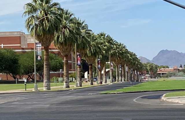 1016 N Campbell Avenue