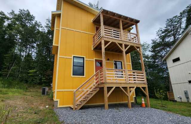 Photo of Swannanoa Rental