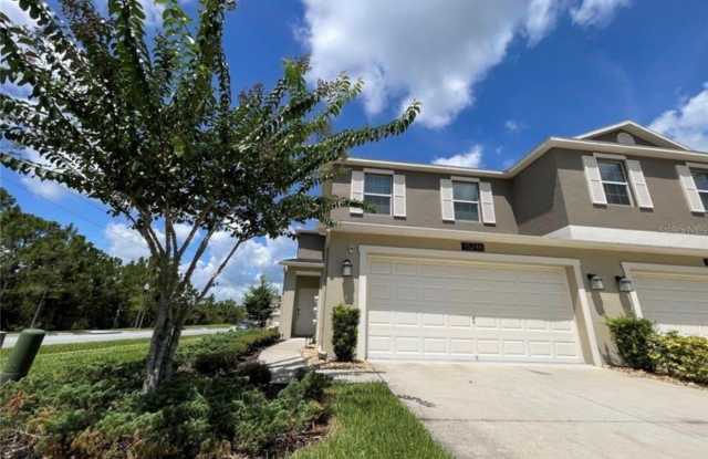 15246 HARRINGTON COVE Drive