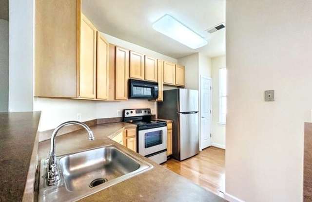 22668 Blue Elder Terrace