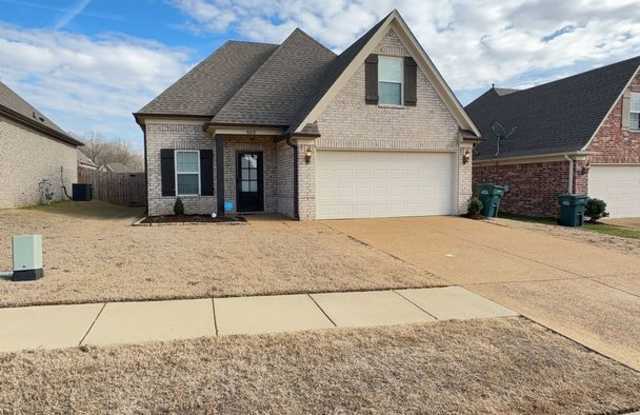 Well Maintained 3 bedroom 2 bath Home in Southaven