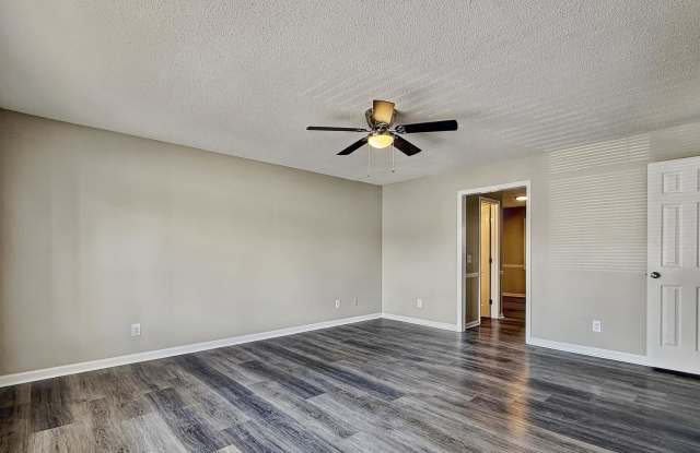 Photo of Holly Hills