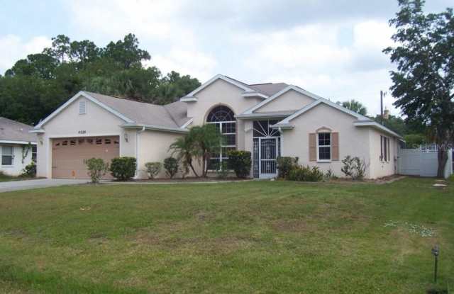 4228 CHIFFON LANE