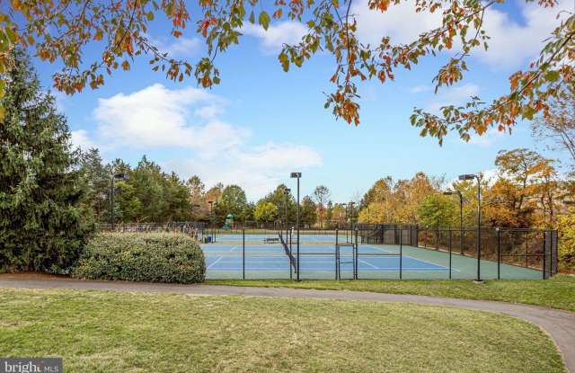 43162 IVYWOOD TERRACE