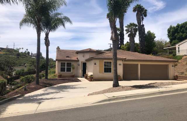 Gorgeous Escondido Home With Amazing View