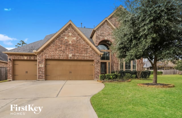 102 Logan Pass Court - 102 Logan Pass Court, Montgomery County, TX 77316