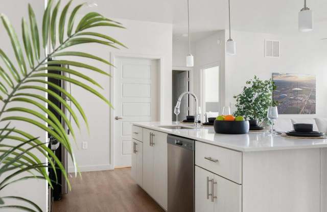 Acero at the Stadium