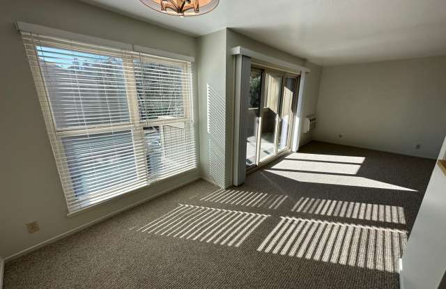 1 Bed 1 Bath Condo In Moraga - 2051 Ascot Drive, Moraga, CA 94556