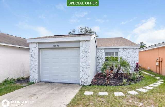 23026 Dover Drive - 23026 Dover Drive, Land O' Lakes, FL 34639