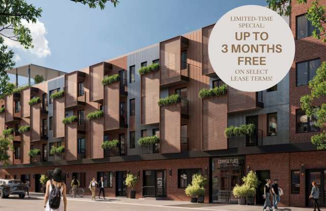 Photo of Copper Flats