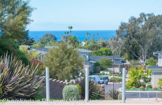 893 Channel Island Drive - 893 Channel Island Dr, Encinitas, CA 92024