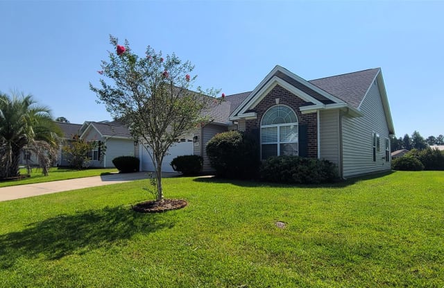 116 Sea Turtle Drive - 116 Sea Turtle Drive, Horry County, SC 29588