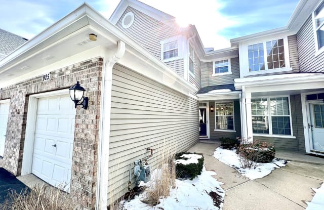 925 Sheridan Circle - 925 Sheridan Circle, Naperville, IL 60563