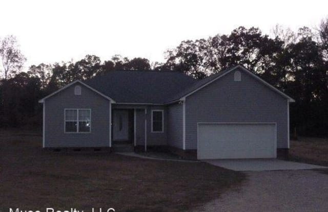 1175 Kellocreek Lane - 1175 Kellocreek Lane, York County, SC 29745