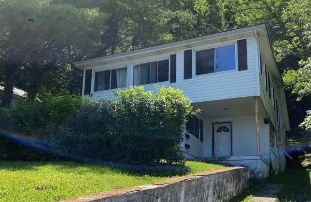 300 East Chestnut Street - 1Unit #1
