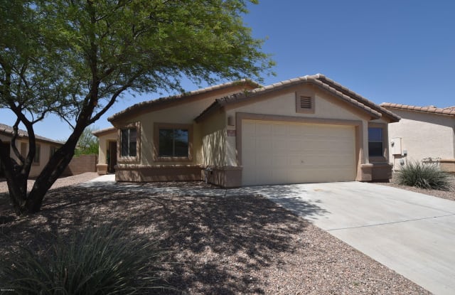 11046 W Willow Field Drive - 11046 West Willow Field Drive, Marana, AZ 85653