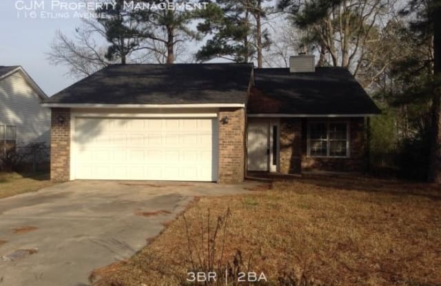 116 Etling Avenue - 116 Etling Avenue, Goose Creek, SC 29445