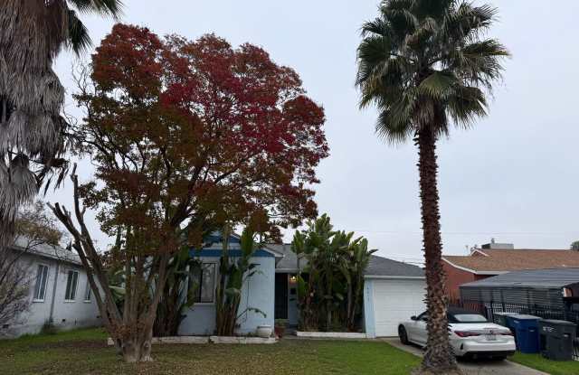 Photo of Nice 3/1 in North City Farms