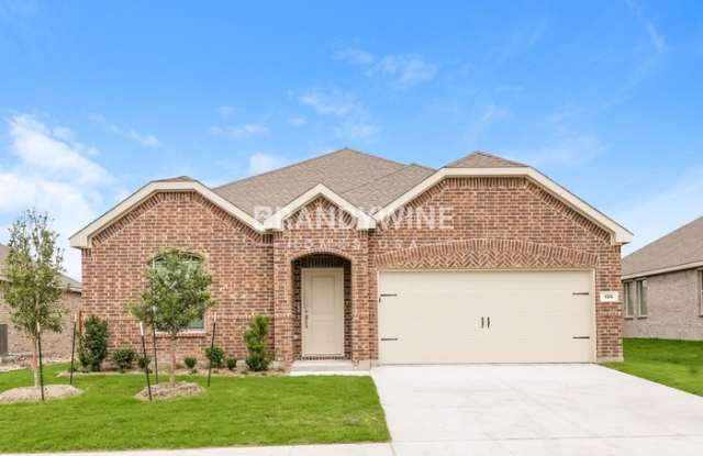 134 Jenkinson Drive - 134 Jenkinson Drive, Fate, TX 75189