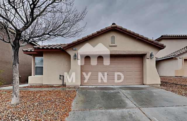 11101 Desert Dove Ave - 11101 Desert Dove Avenue, Las Vegas, NV 89144