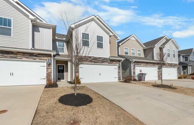 313 Cub Court - 1