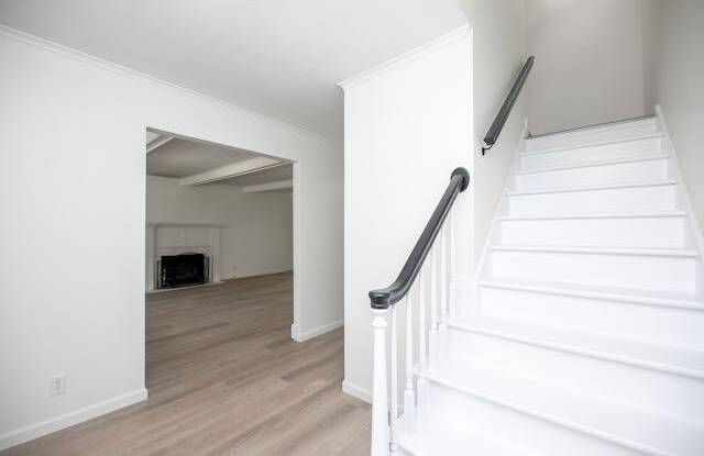 707 West Versailles Drive