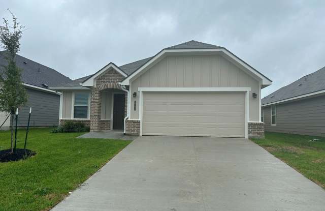 Bryan - 3 bedroom - 2 bath - 2 car garage - fenced in back yard - Brand New House - very new to Bonham Elementary