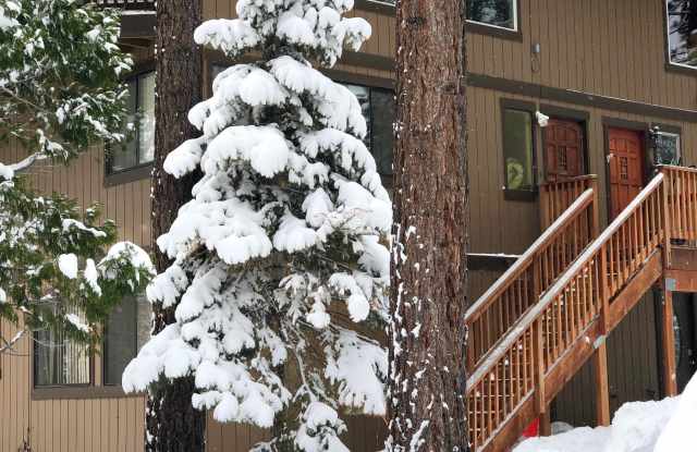 114 Angora Court B - 1