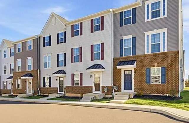 113 Dragon Drive