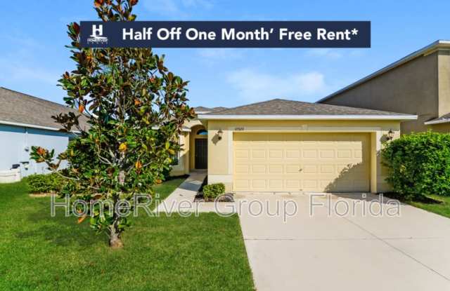 10520 Standing Stone Dr - 10520 Standing Stone Drive, Balm, FL 33598