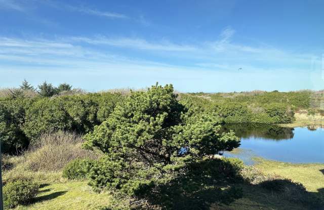 Photo of 353 Sand Dune Avenue Southwest