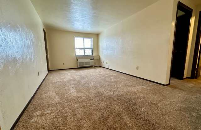 Awesome One Bedroom Apartment! Exposed Brick and Air Conditioning! Call Today!