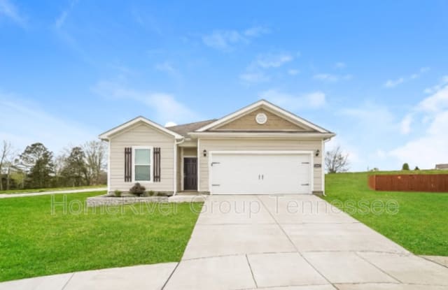 3001 Apiary Ct - 3001 Apiary Court, Columbia, TN 38401