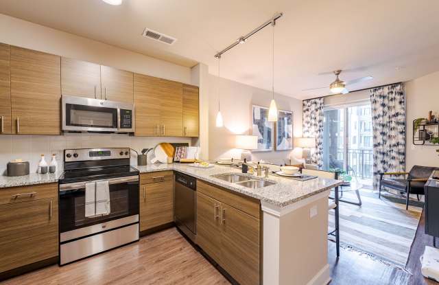 The Edison Lofts