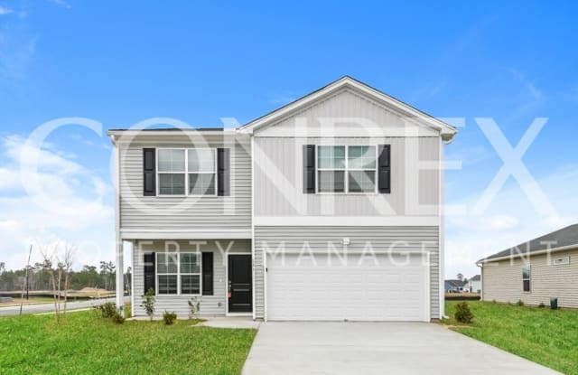 241 Clydesdale Circle - 241 Clydesdale Circle, Berkeley County, SC 29486