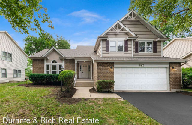 957 Elm Ct - 957 Elm Court, Naperville, IL 60540