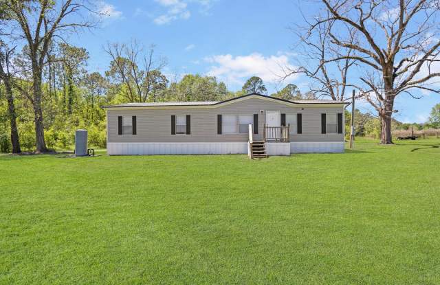 1495 Bear Branch Road - 1495 Bear Branch Road, Wayne County, GA 31545