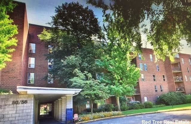 50-56 Broadlawn Park - 50-56 Broadlawn Park, Newton, MA 02467