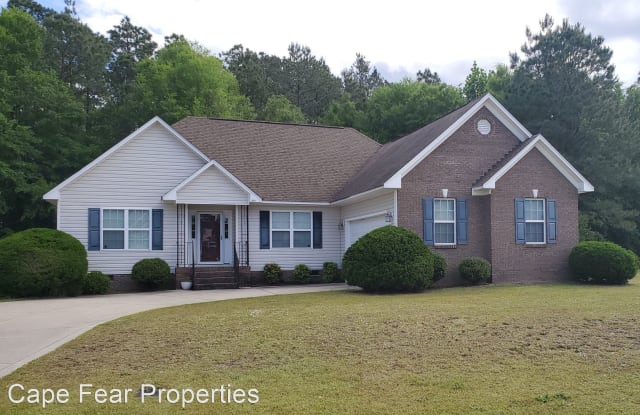 1809 Citidancer Court - 1809 Citidancer Lane, Cumberland County, NC 28348